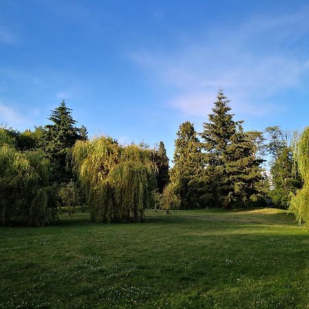 Entire Forest Home Near Nature & Amenities Surrey Kültér fotó