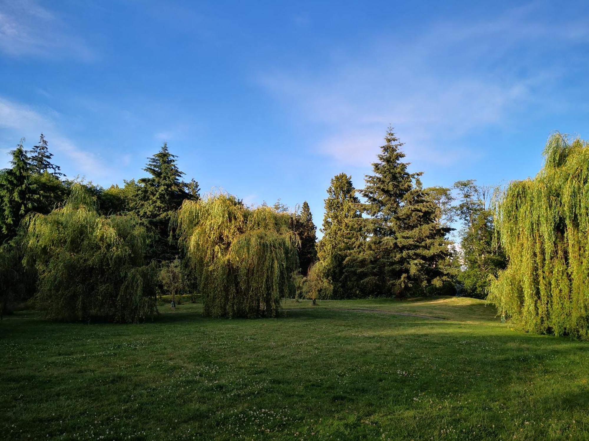 Entire Forest Home Near Nature & Amenities Surrey Kültér fotó